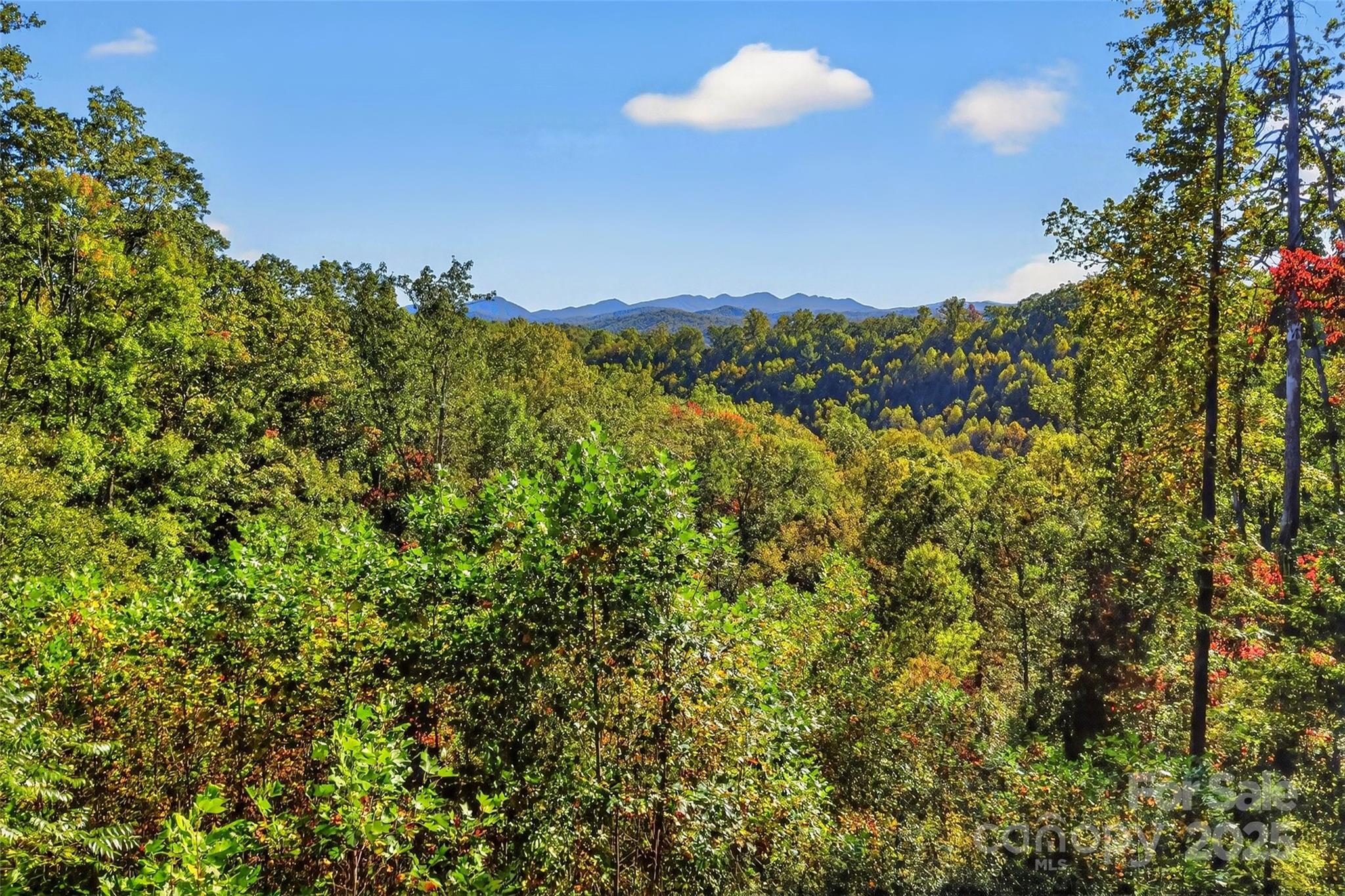 1516 Mountain Crest Drive S Marion NC 28752