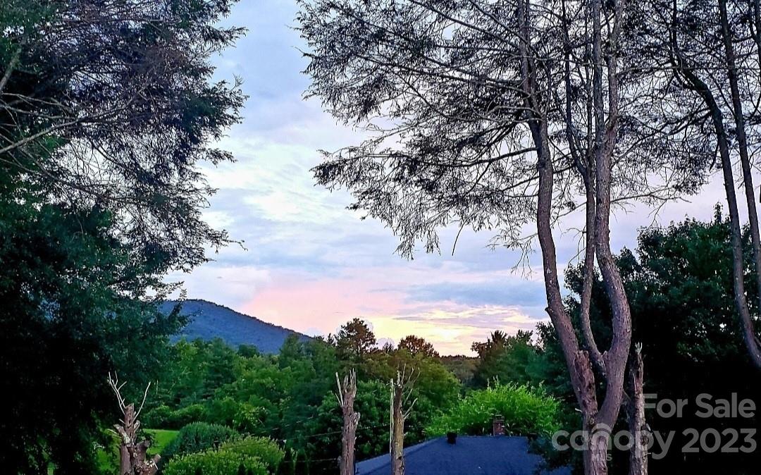 4 Winston Avenue Asheville NC 28803