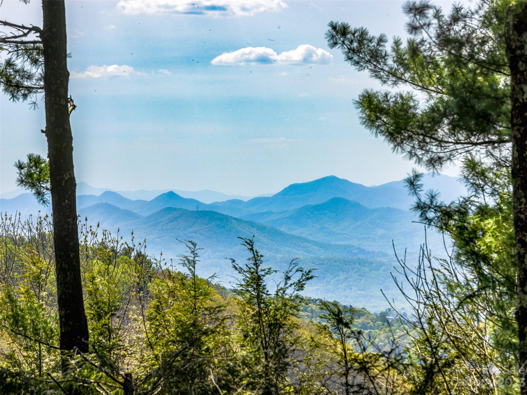 23 Peach Knob Drive Asheville NC 28804