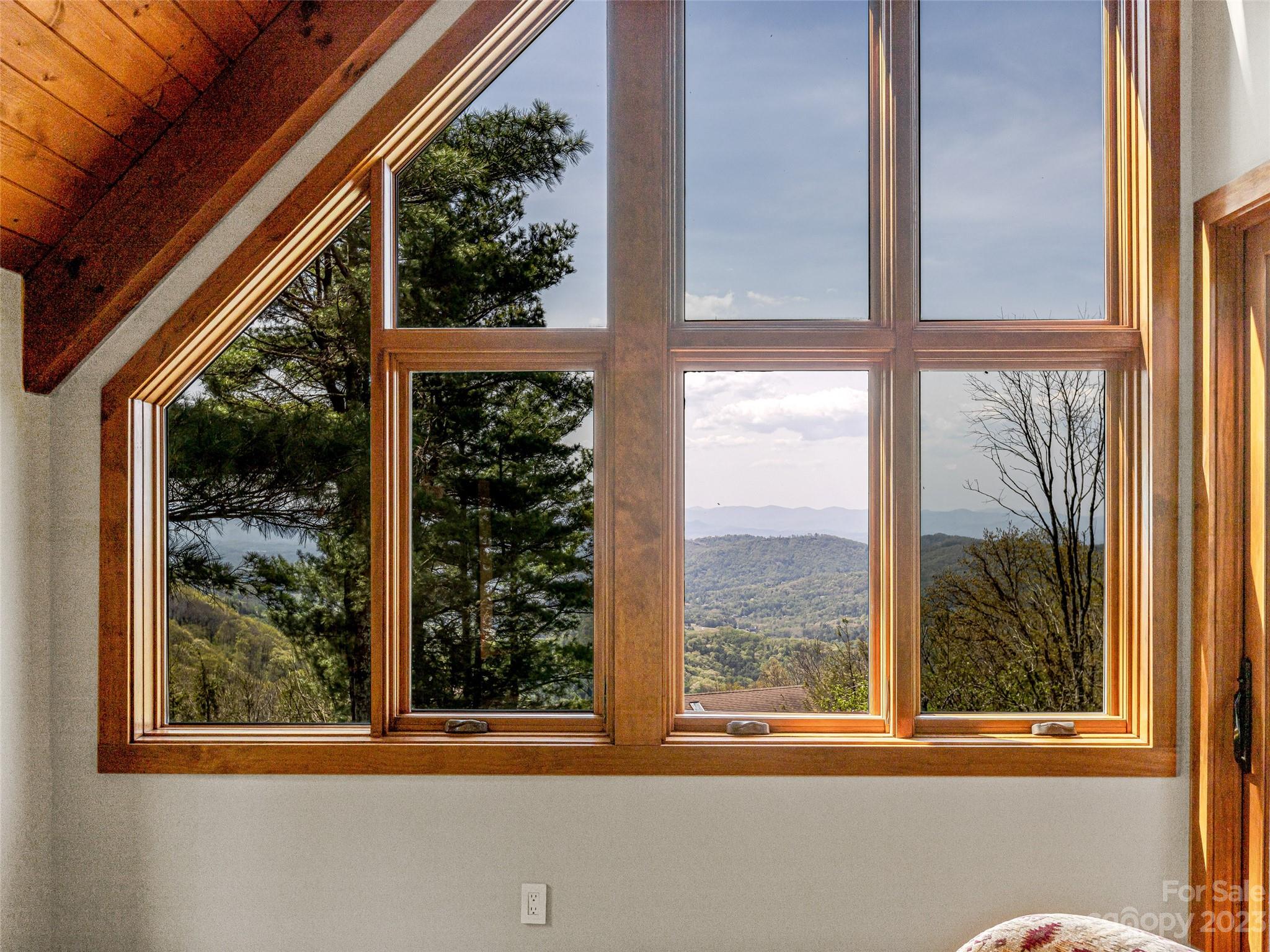 23 Peach Knob Drive Asheville NC 28804
