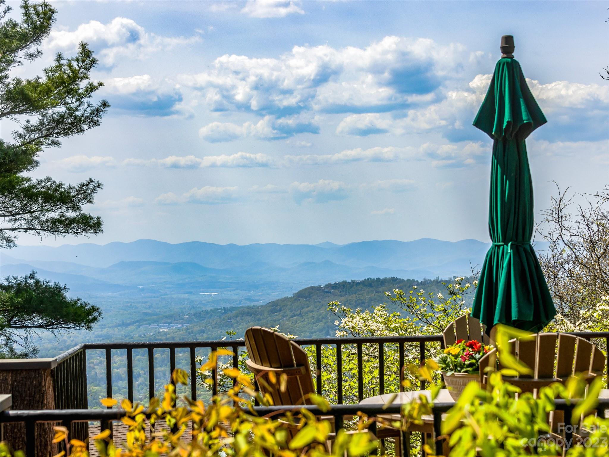 23 Peach Knob Drive Asheville NC 28804