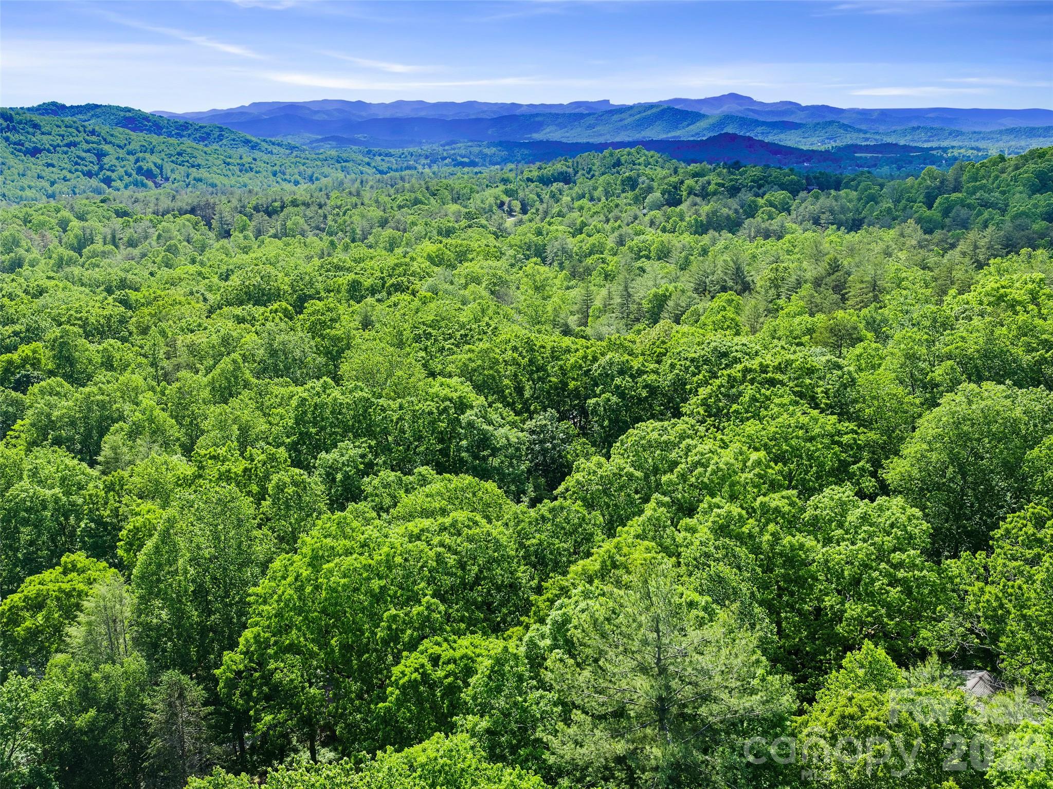 303 Brightwater Heights Drive Hendersonville NC 28791