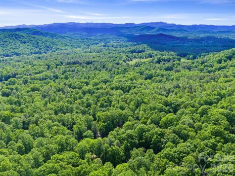 303 Brightwater Heights Drive Hendersonville NC 28791
