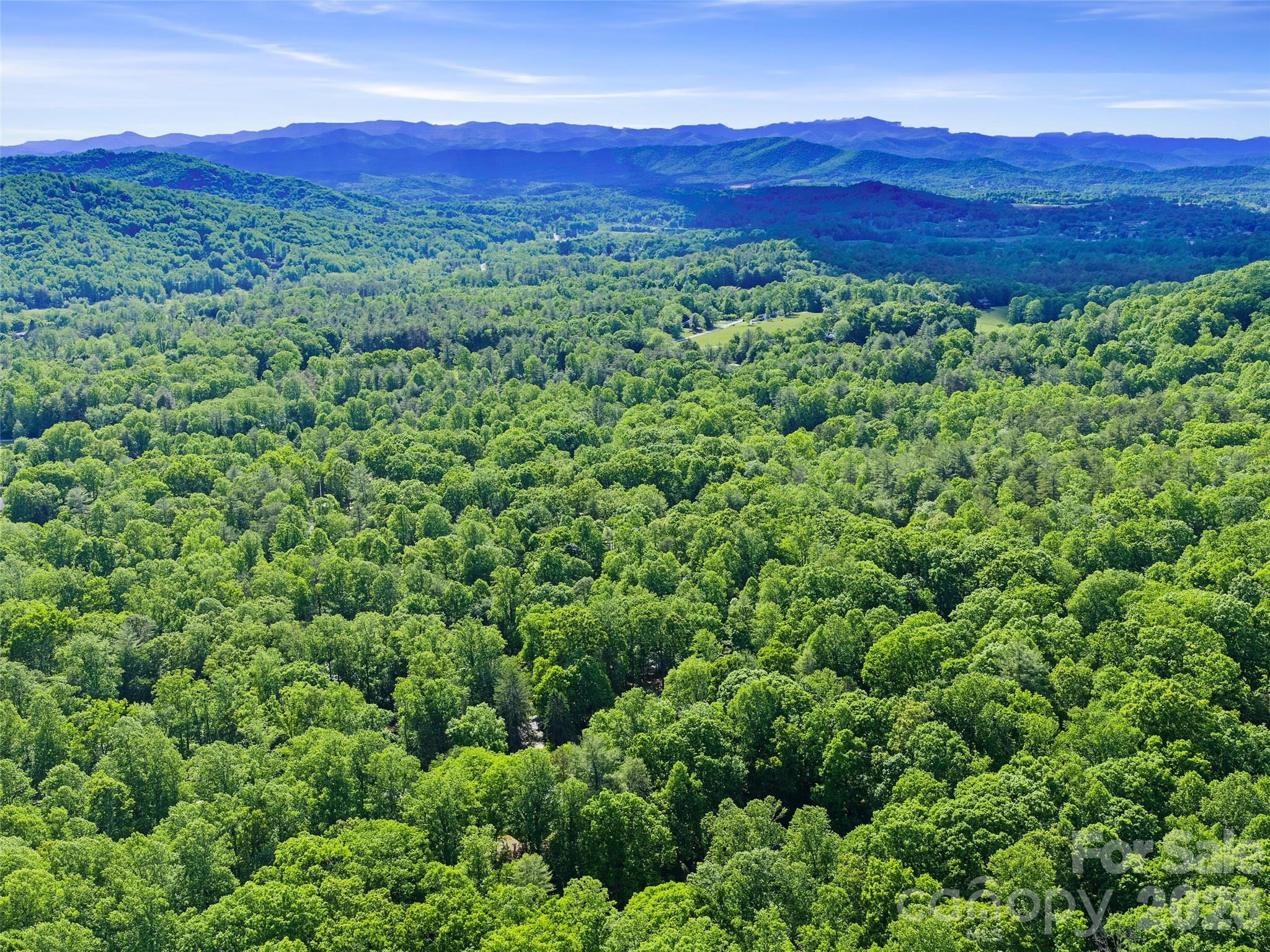 303 Brightwater Heights Drive Hendersonville NC 28791