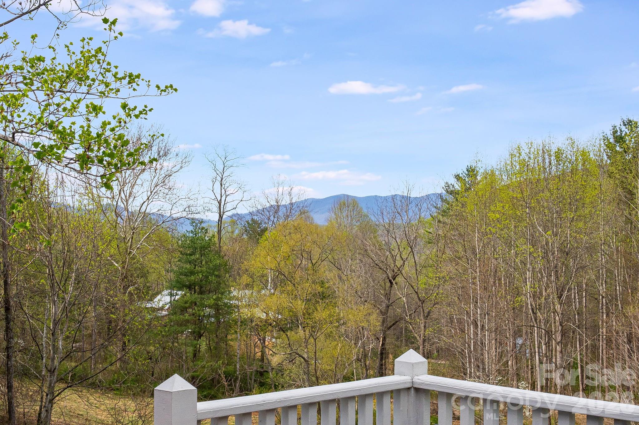 92 Rose Hill Road Asheville NC 28803