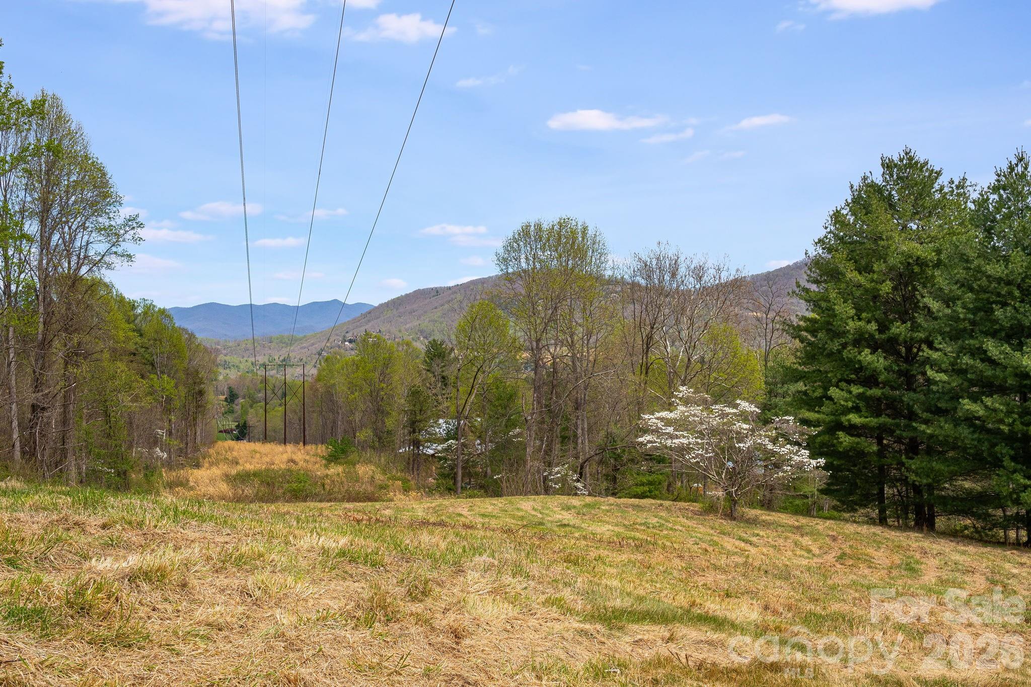92 Rose Hill Road Asheville NC 28803