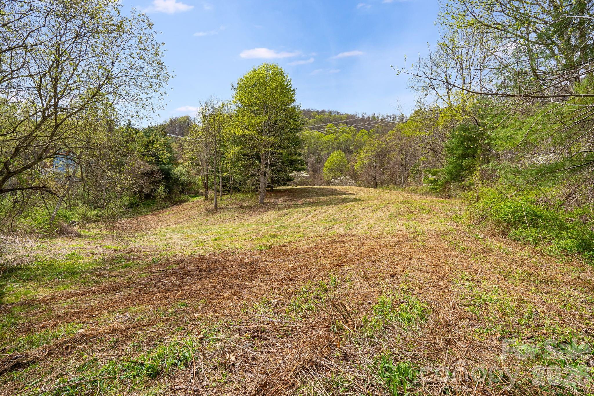 92 Rose Hill Road Asheville NC 28803