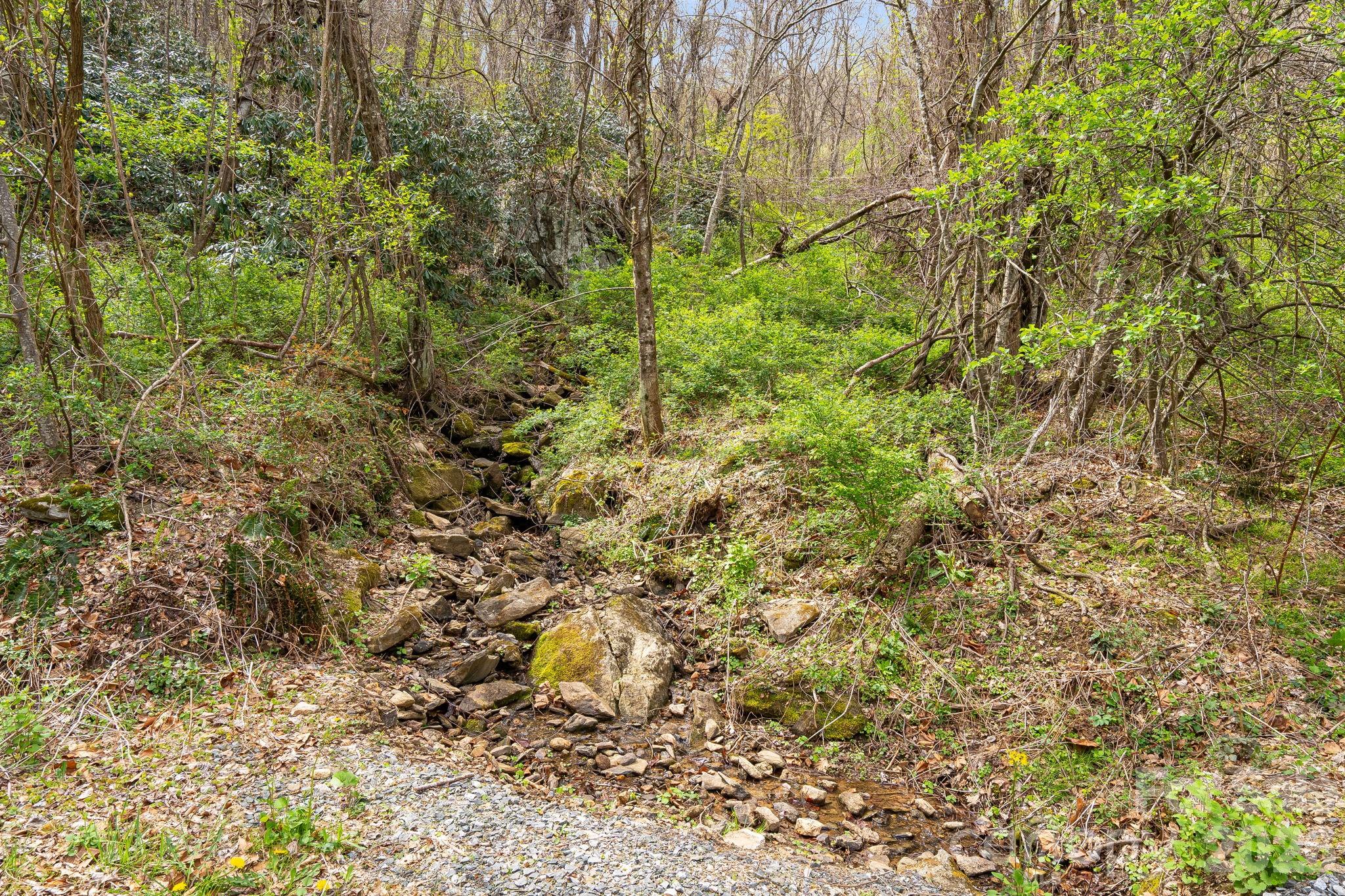 92 Rose Hill Road Asheville NC 28803