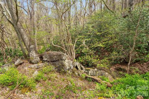 92 Rose Hill Road Asheville NC 28803