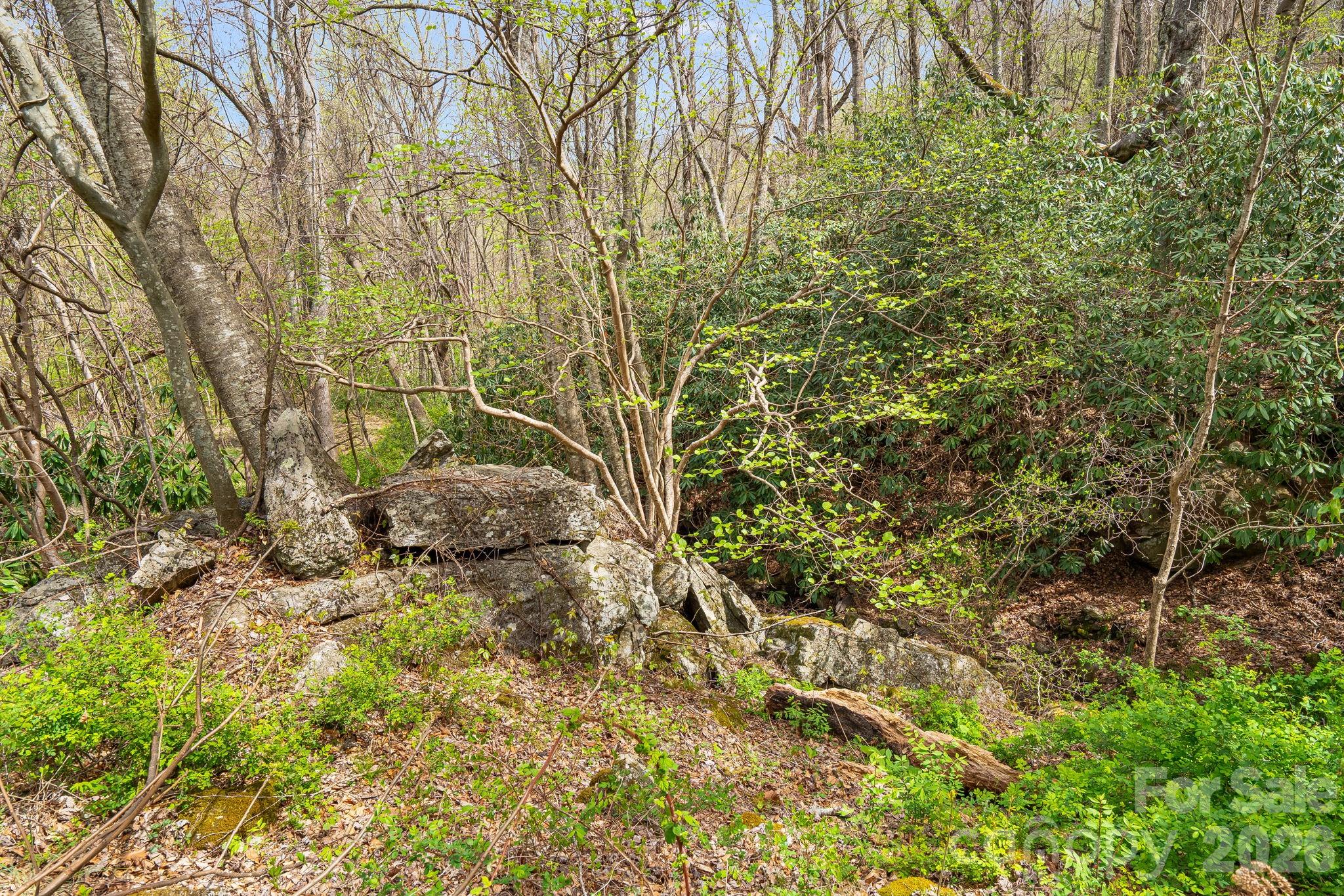 92 Rose Hill Road Asheville NC 28803