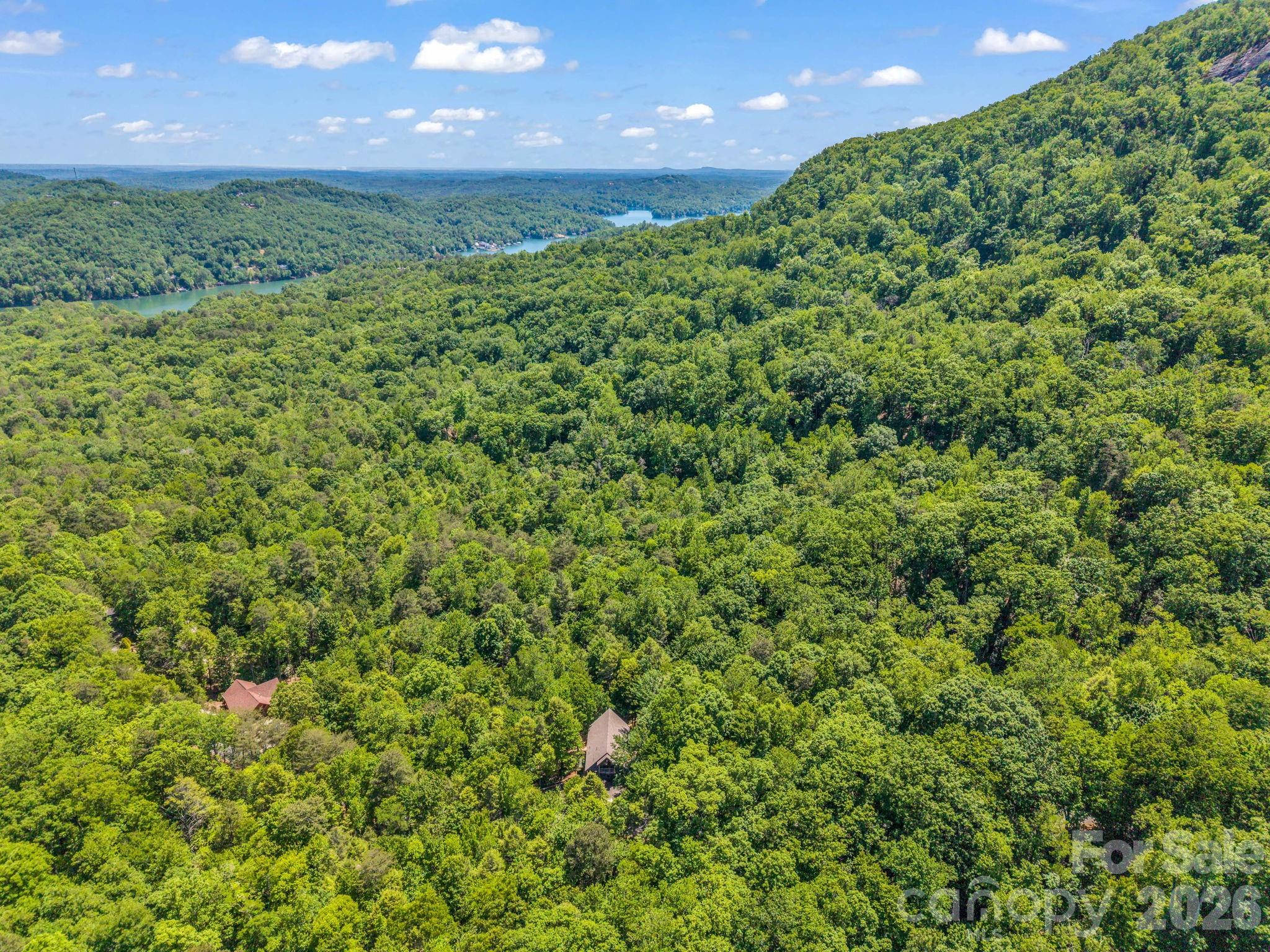 331 Quail Ridge Road Lake Lure NC 28746