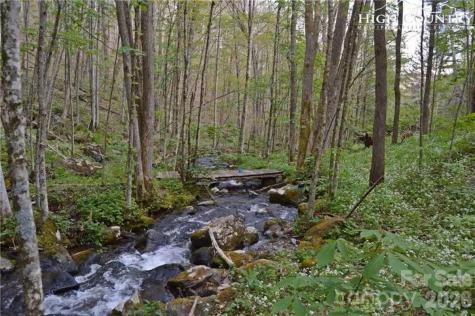 635/634 Little Horse Creek Newland NC 28657