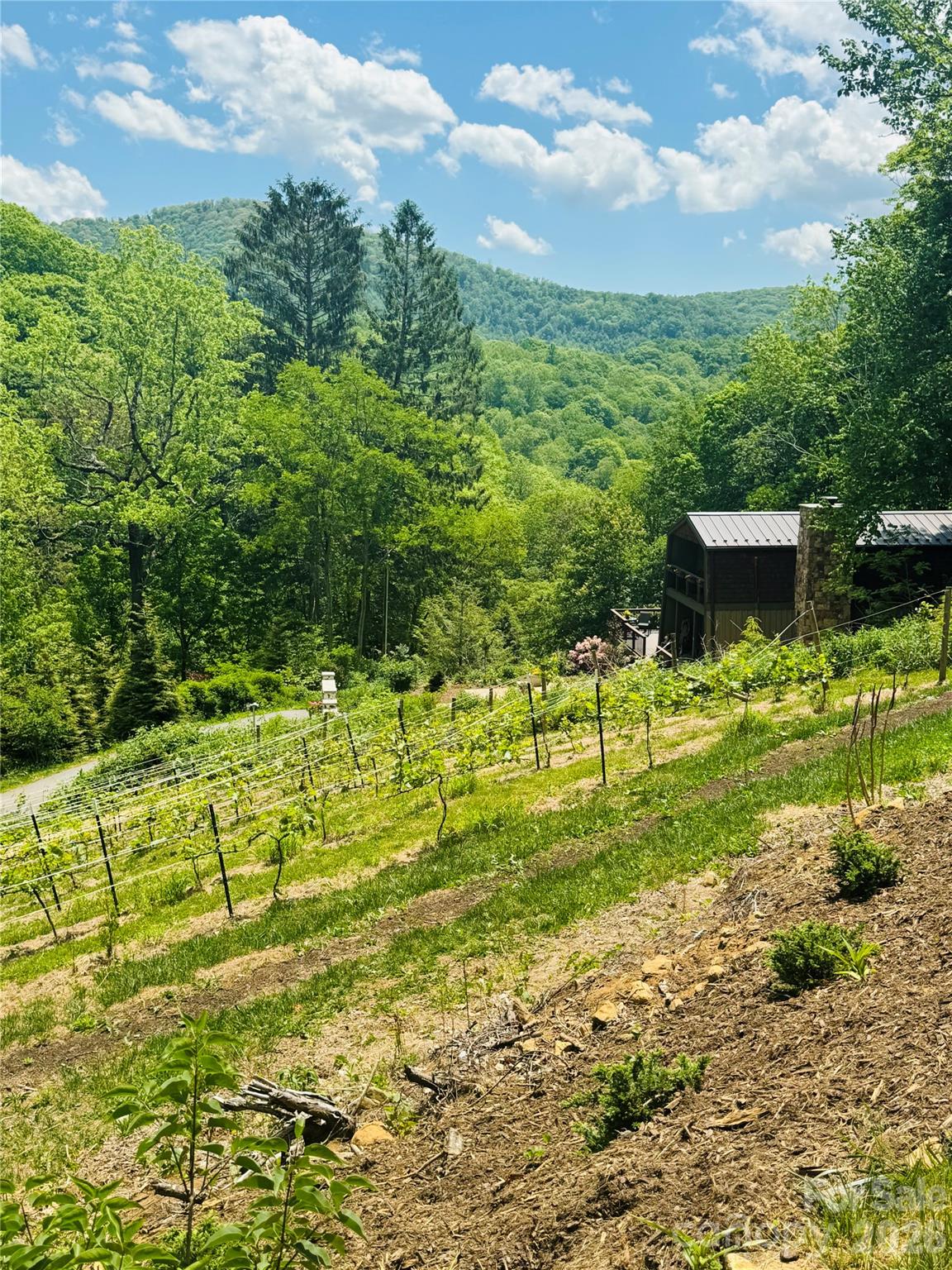 635/634 Little Horse Creek Newland NC 28657
