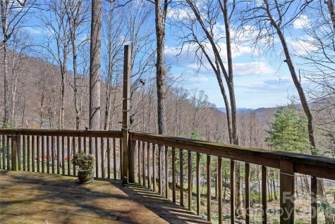 343 Chestnut Village Lane Mars Hill NC 28754