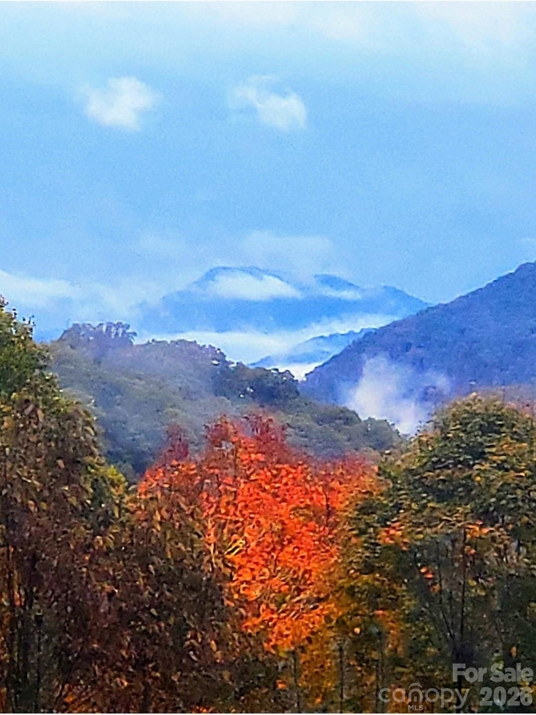 343 Chestnut Village Lane Mars Hill NC 28754