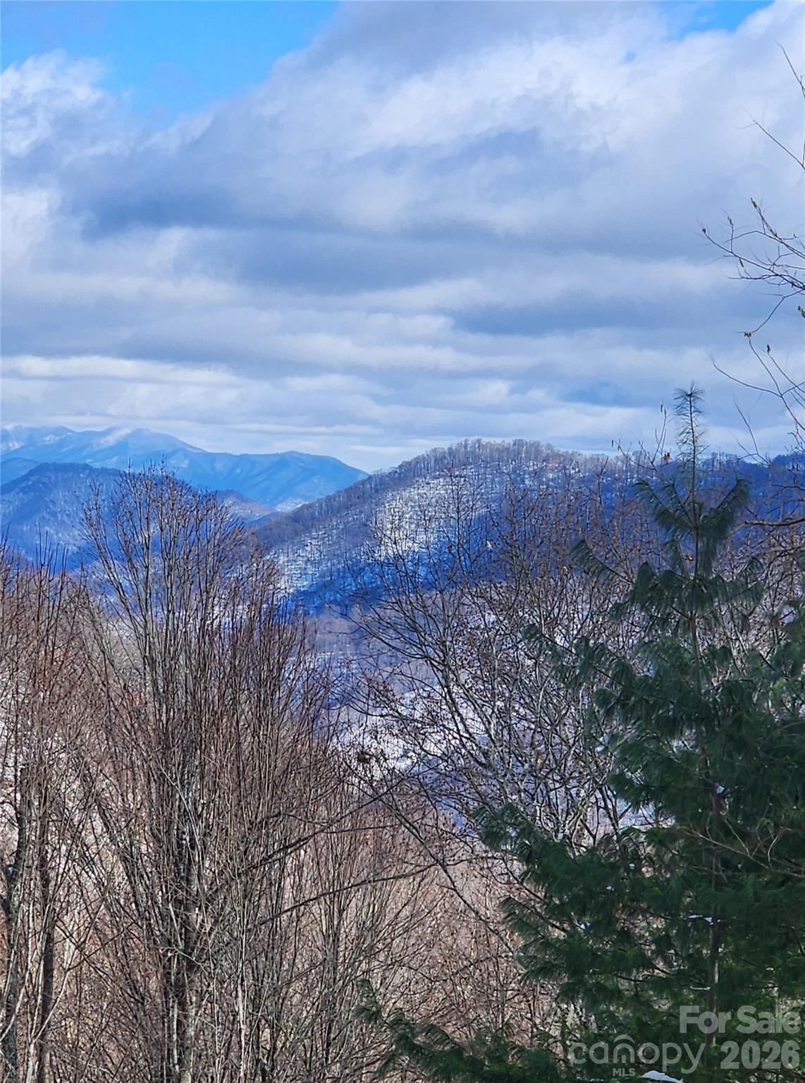 343 Chestnut Village Lane Mars Hill NC 28754