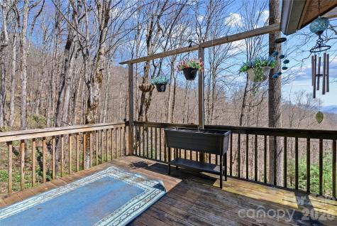 343 Chestnut Village Lane Mars Hill NC 28754