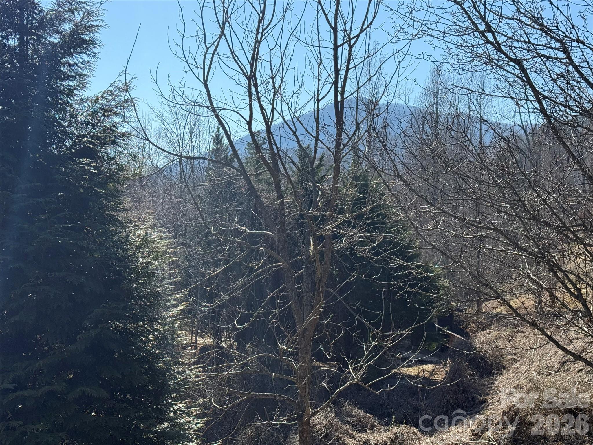 52 Supooh Lane Sylva NC 28779