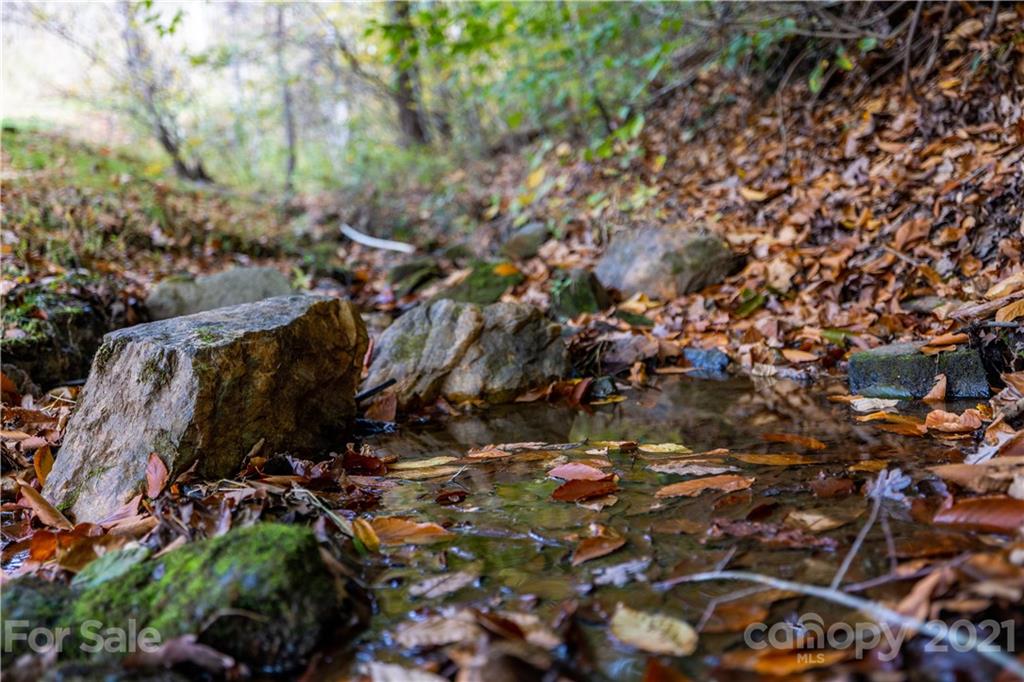 4904 Whitson Branch Road Green Mountain NC 28740