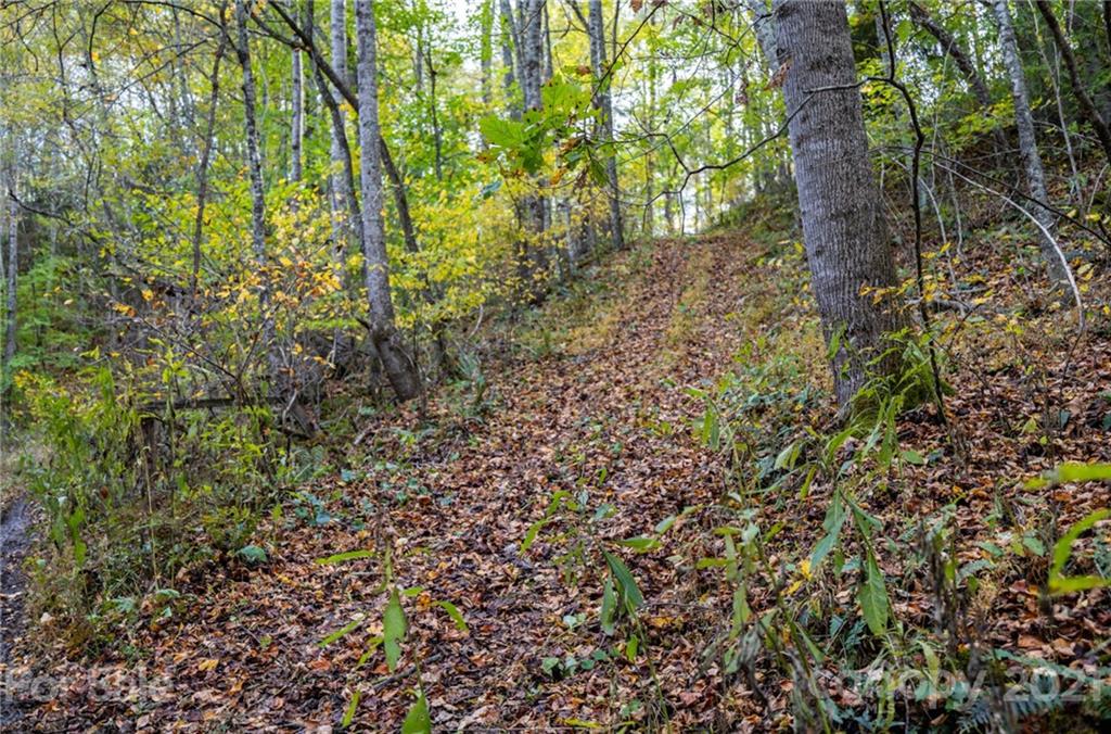 4904 Whitson Branch Road Green Mountain NC 28740