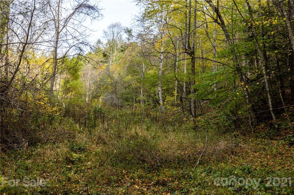 4904 Whitson Branch Road Green Mountain NC 28740