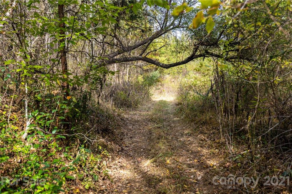 4904 Whitson Branch Road Green Mountain NC 28740