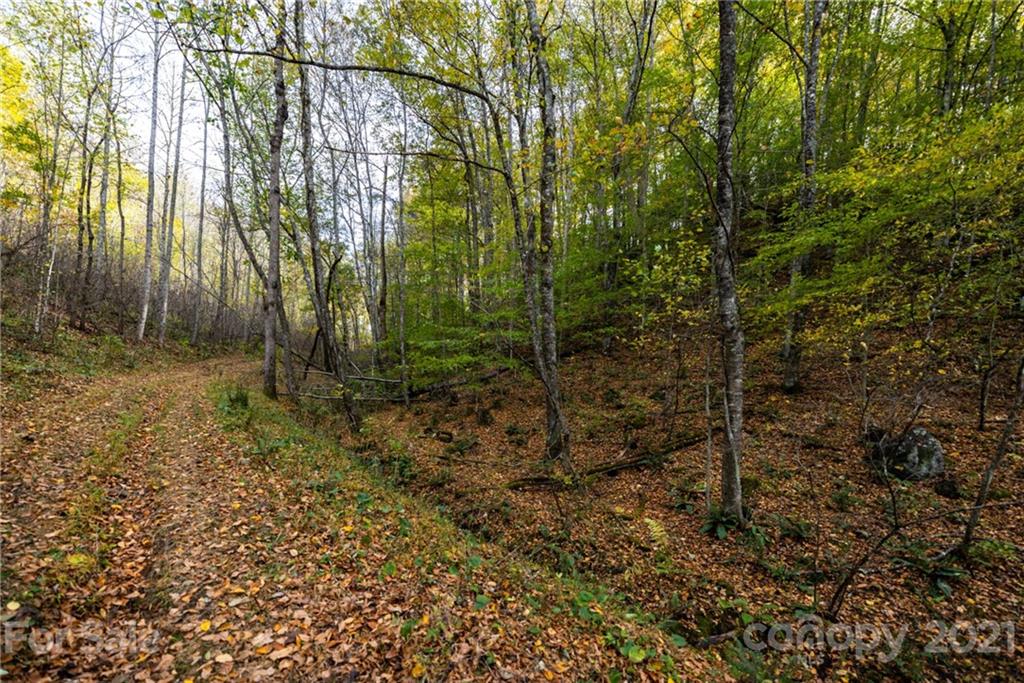 4904 Whitson Branch Road Green Mountain NC 28740