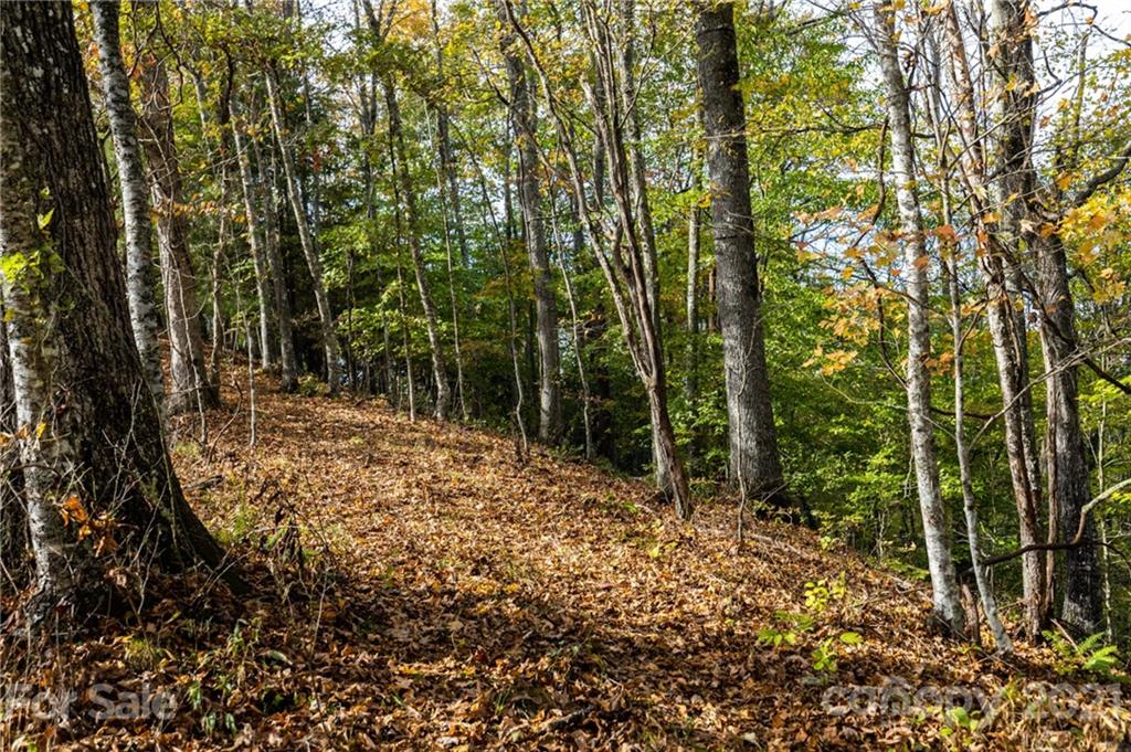 4904 Whitson Branch Road Green Mountain NC 28740