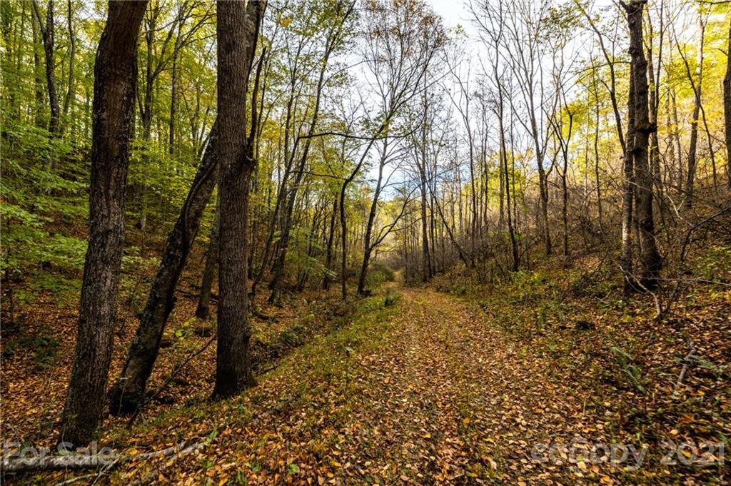 4904 Whitson Branch Road Green Mountain NC 28740