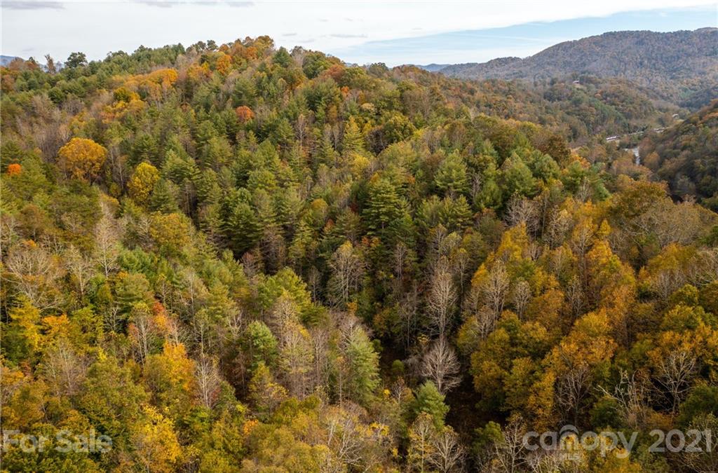 4904 Whitson Branch Road Green Mountain NC 28740