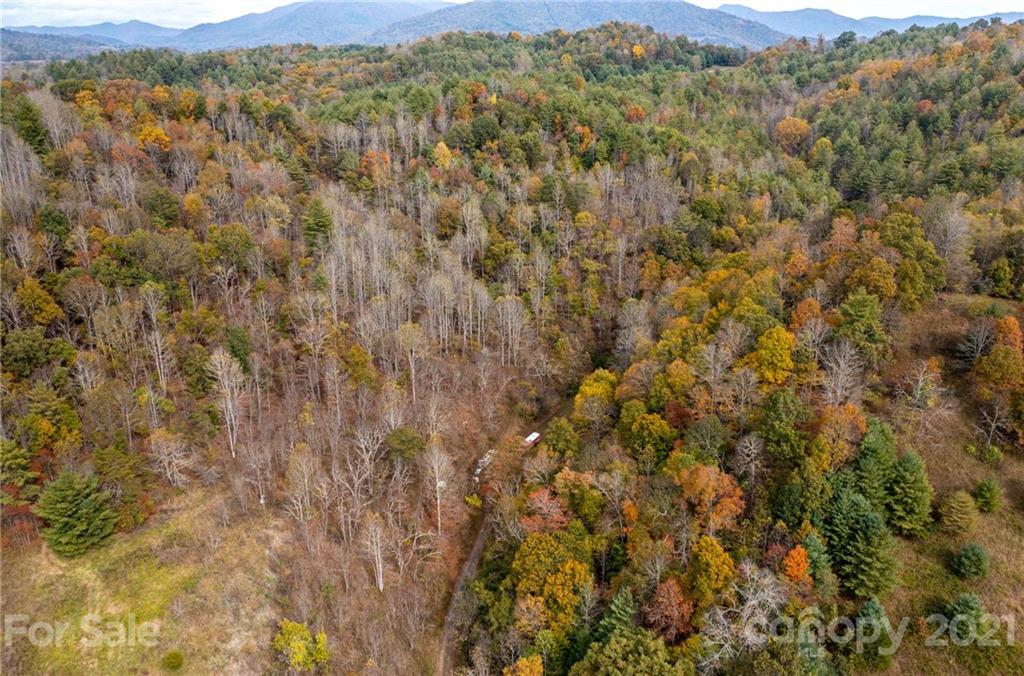 4904 Whitson Branch Road Green Mountain NC 28740
