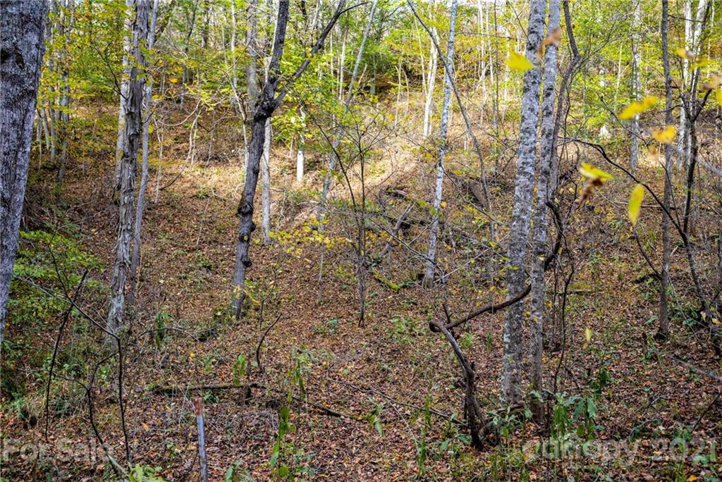 4904 Whitson Branch Road Green Mountain NC 28740