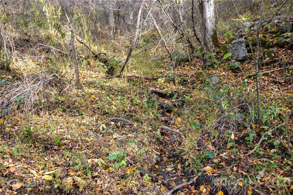 4904 Whitson Branch Road Green Mountain NC 28740