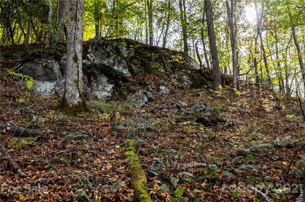 4904 Whitson Branch Road Green Mountain NC 28740