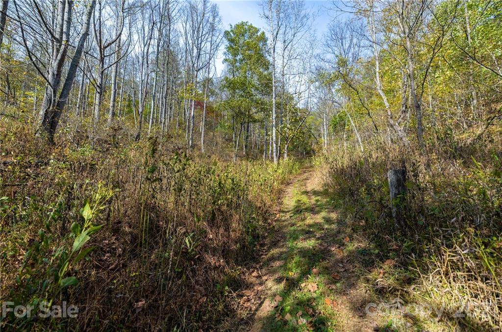 4904 Whitson Branch Road Green Mountain NC 28740