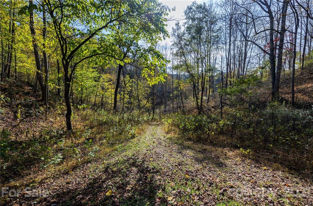 4904 Whitson Branch Road Green Mountain NC 28740