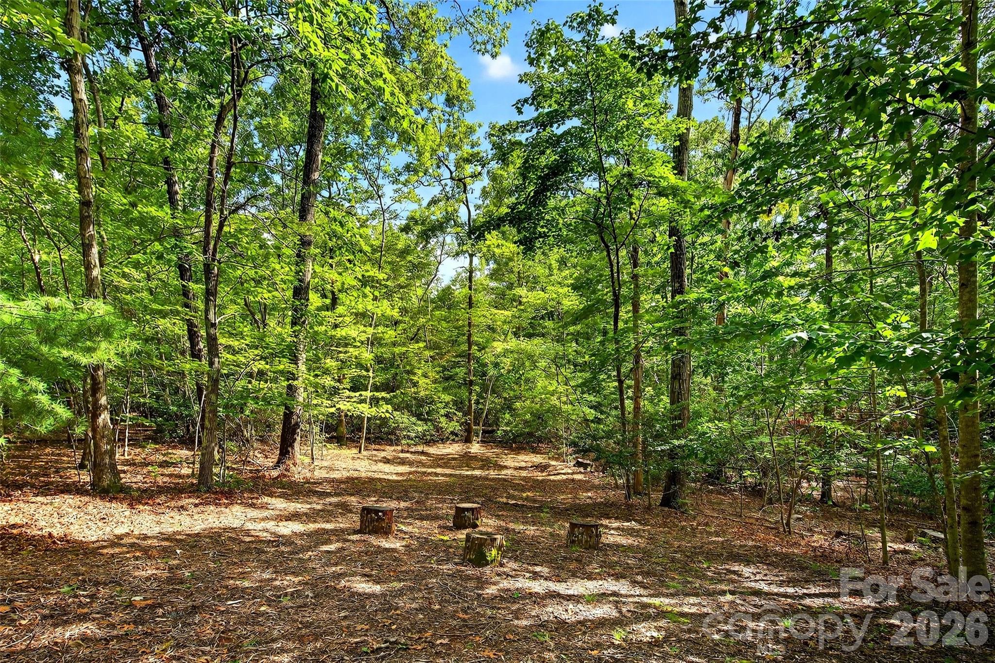240 Ravenswood Drive Marion NC 28752