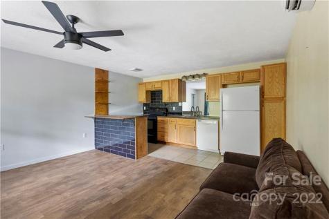 140 Holly Street Black Mountain NC 28711