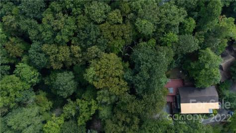140 Holly Street Black Mountain NC 28711