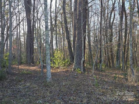 117 Woods View Trail Fairview NC 28730