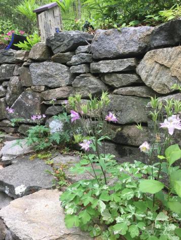 117 Woods View Trail Fairview NC 28730