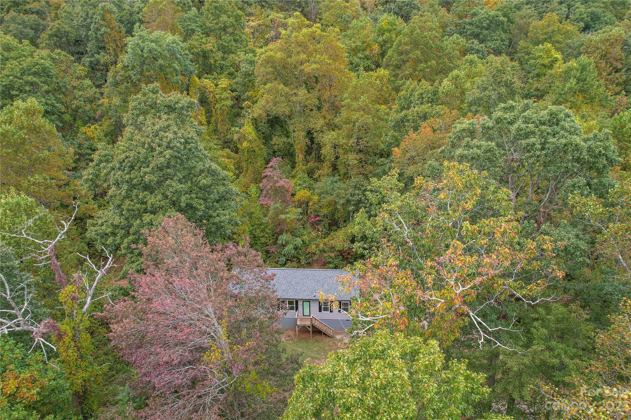 46 Sassafras Valley Road Swannanoa NC 28778