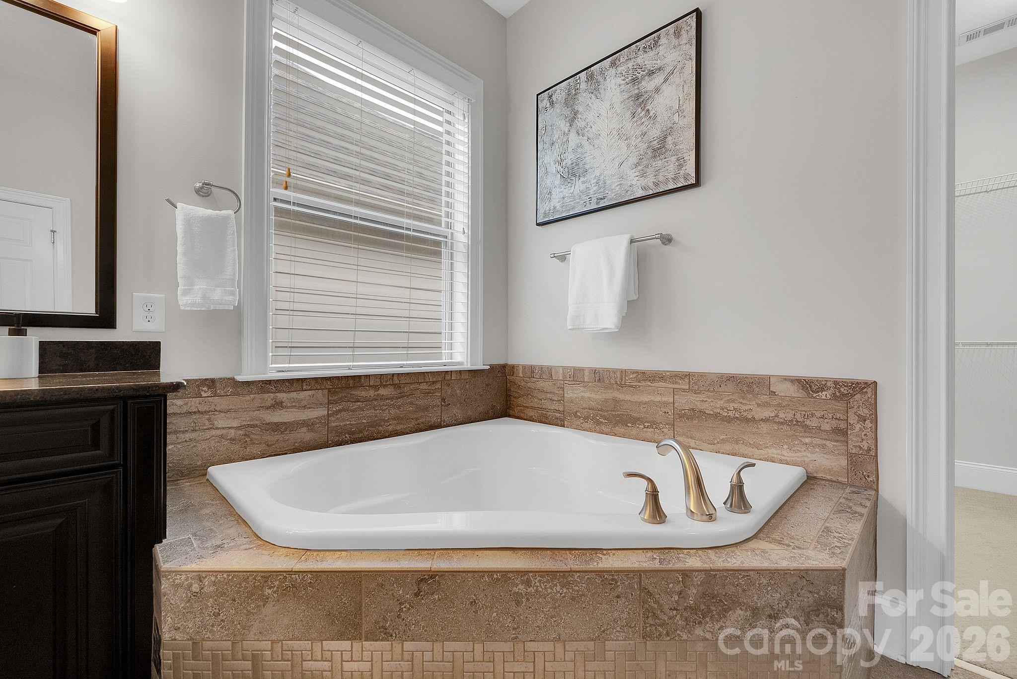 14920 High Bluff Court Charlotte NC 28278