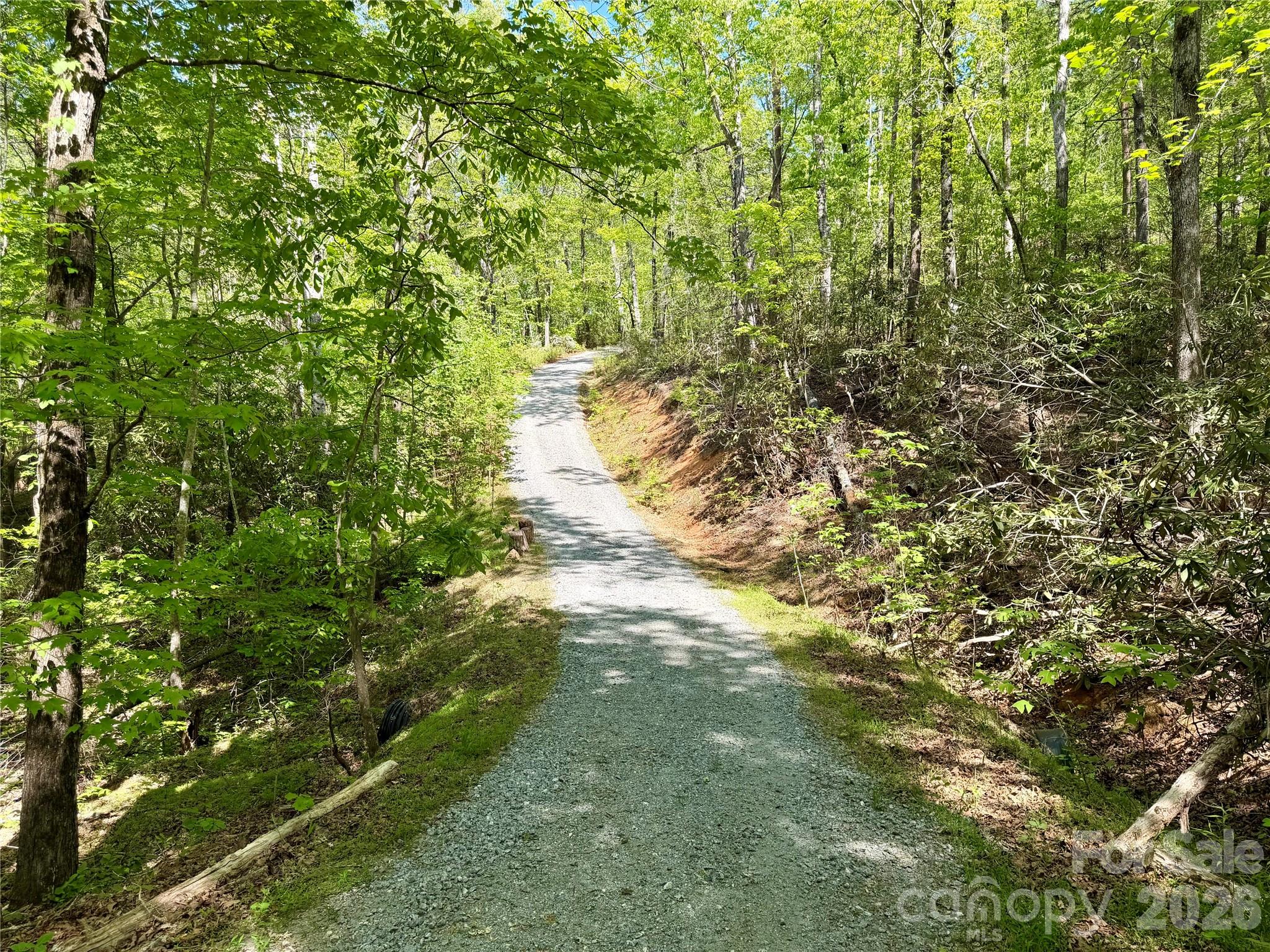81 Delind Drive Mill Spring NC 28756