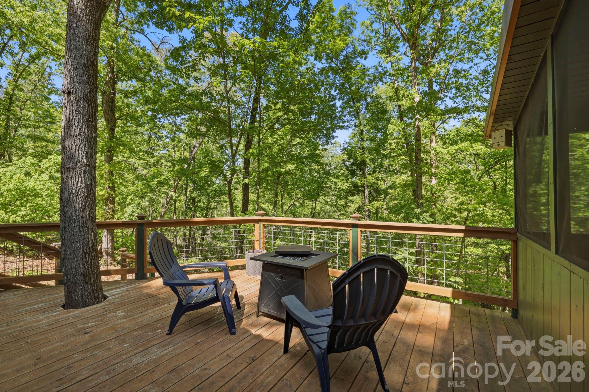 81 Delind Drive Mill Spring NC 28756
