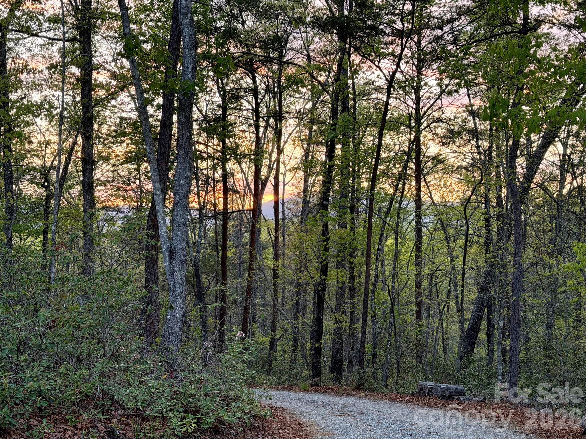 81 Delind Drive Mill Spring NC 28756