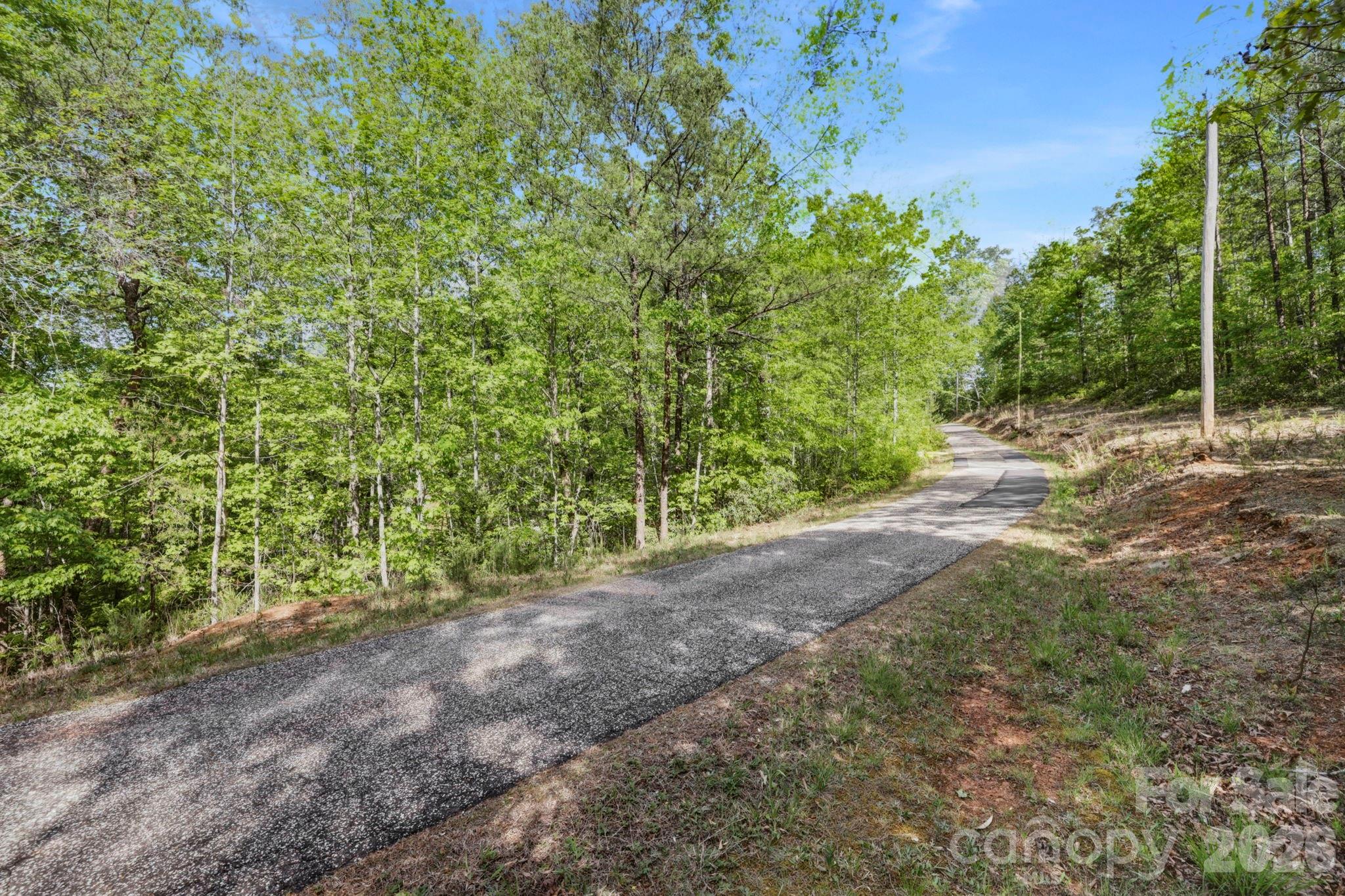 81 Delind Drive Mill Spring NC 28756