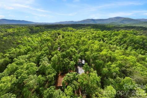 81 Delind Drive Mill Spring NC 28756
