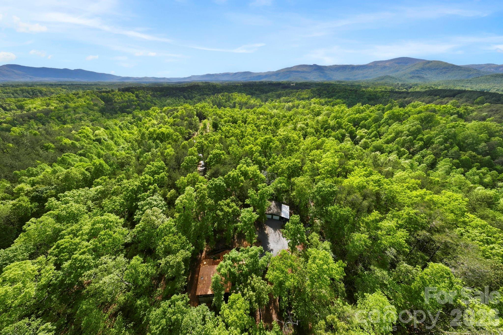 81 Delind Drive Mill Spring NC 28756