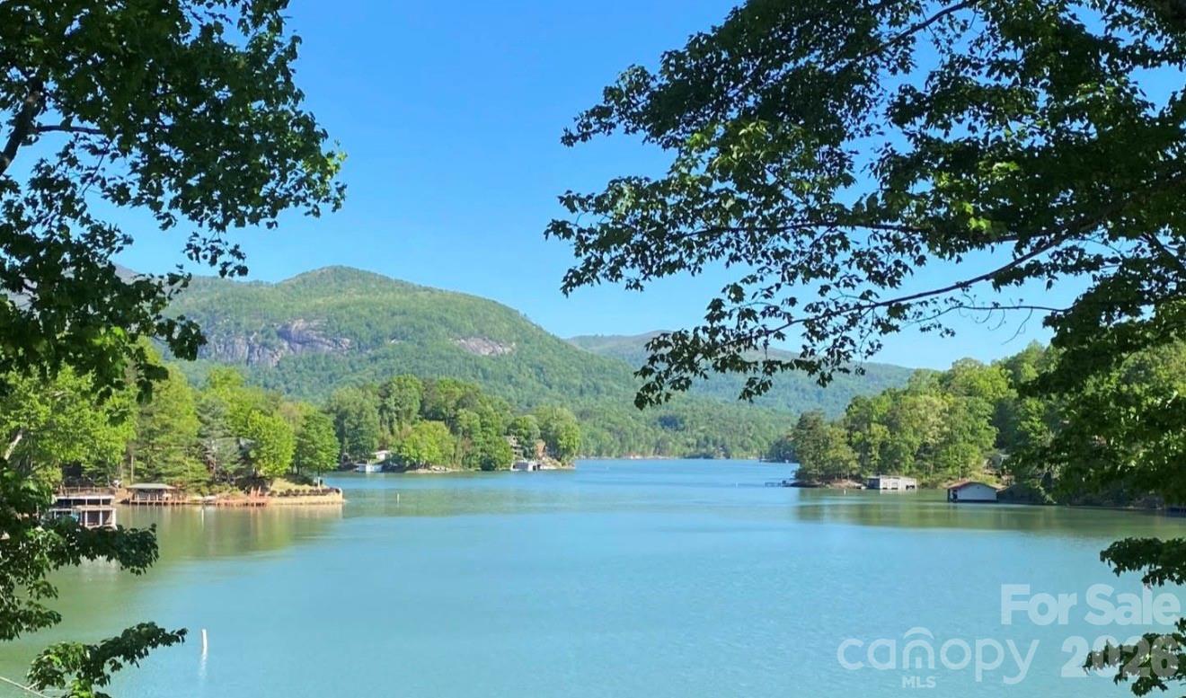 81 Delind Drive Mill Spring NC 28756